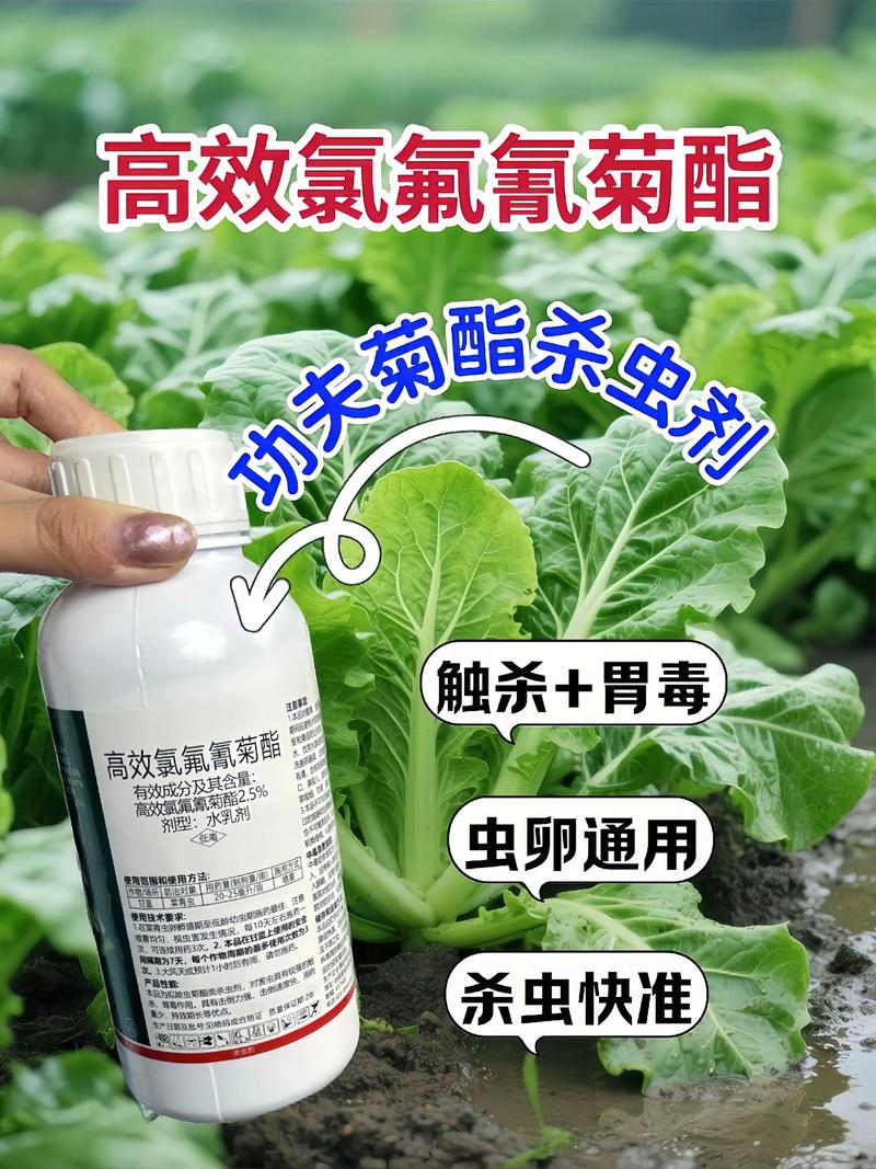 鹤壁代生中心:农药对供卵代生妈妈的危害